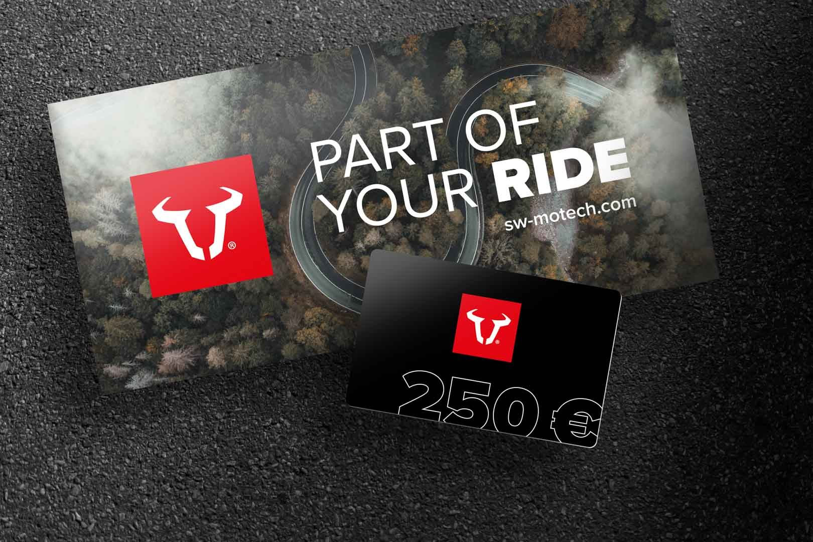 Webshop voucher 250 Euro Free gift: Scarf.