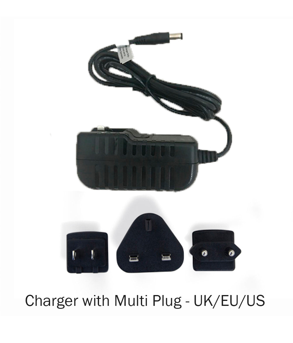 multinational battery charger